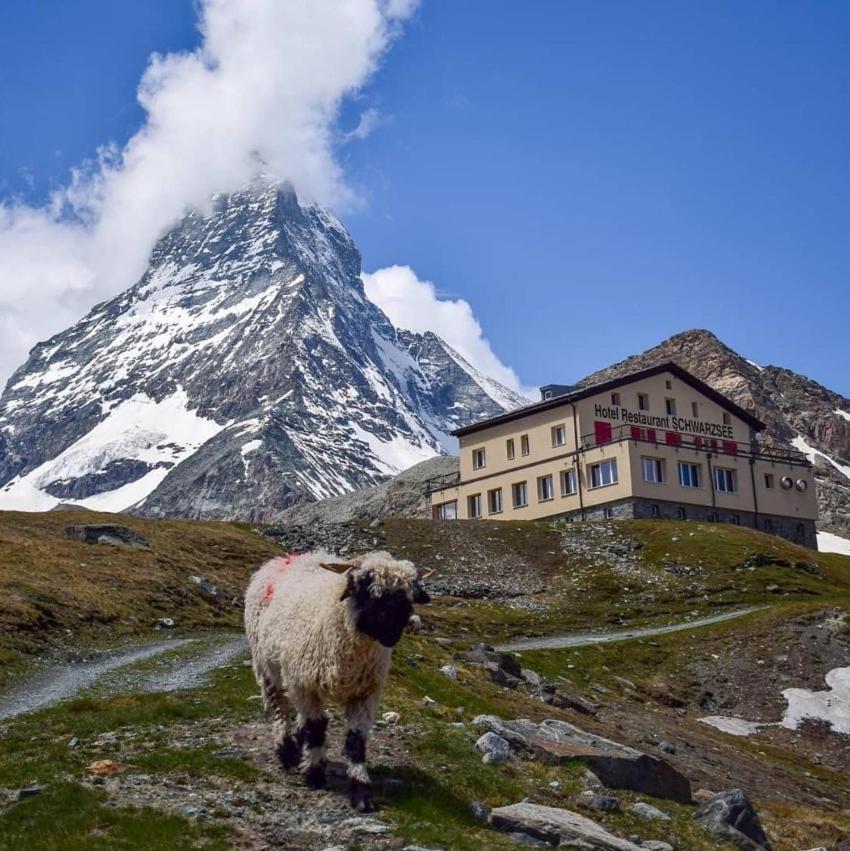 Hotel Schwarzsee Zermatt Bagian luar foto